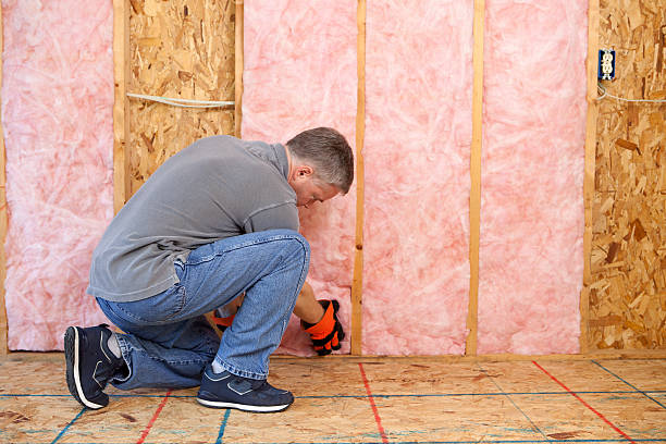 Best Professional Insulation Contractor  in Highland Rk, PA